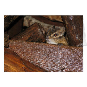 Chipmunkグリーティングカード