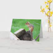 Chipmunkグリーティングカード カード (黄色い花)