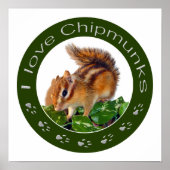 Chipmunk写真 ポスター (正面)