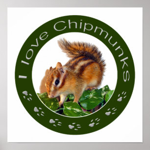 Chipmunk写真 ポスター