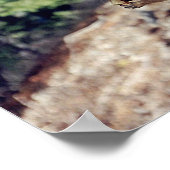 Chipmunk ポスター (角)