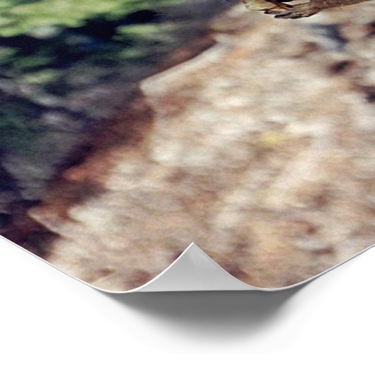 Chipmunk ポスター (角)