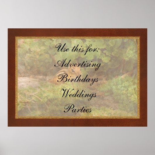 Chipmunk – 何というかわいこちゃん ポスター (正面)