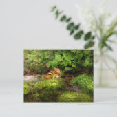 Chipmunk – 何というかわいこちゃん ポストカード (スタンド正面)