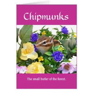 Chipmunk and flower (pohto)　type-1