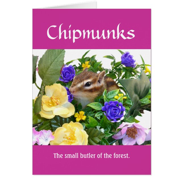 Chipmunk and flower (pohto)　type-1 (正面)