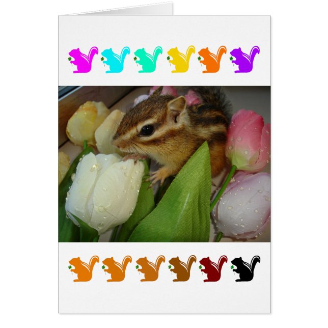 Chipmunk and flower (pohto)　type-5 (正面)