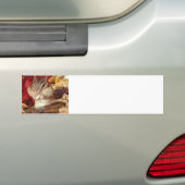 Chipmunk , Autumn (9)　photo バンパーステッカー (車上)