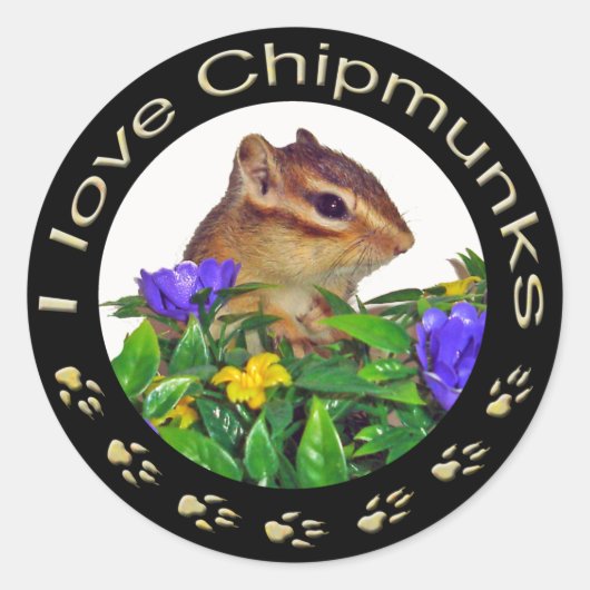 Chipmunk_ Circle_20 ラウンドシール (正面)