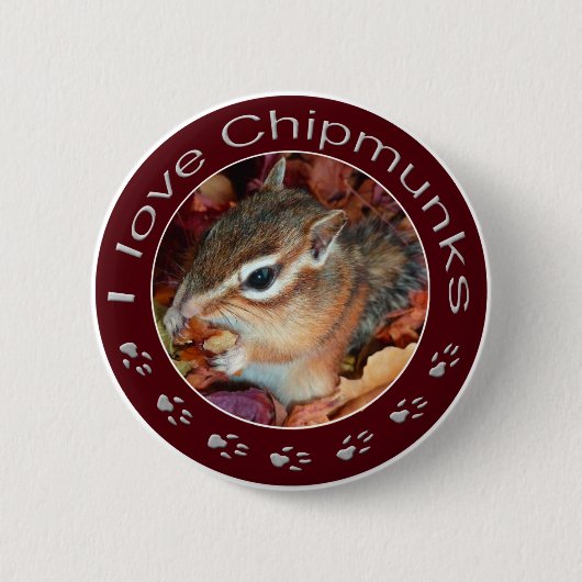 Chipmunk_ Circle_32 缶バッジ (正面)