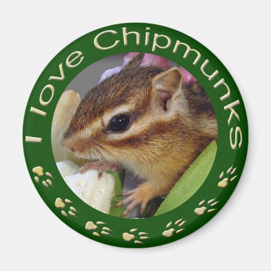 Chipmunk_ Circle_3 マグネット (正面)