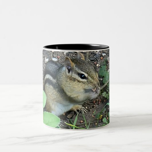 Chipmunk Eating And Collecting In The Garden Photo ツートーンマグカップ (中央)