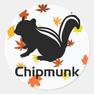 Chipmunk　illustration　(12)　Black ラウンドシール