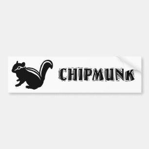 Chipmunk illustration (14) Black バンパーステッカー