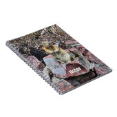 Chipmunk in Glacier国立公園写真 ノートブック (右側)