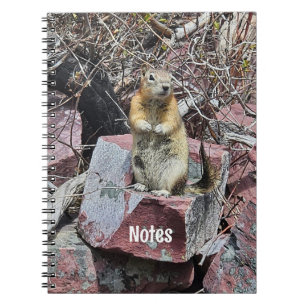 Chipmunk in Glacier国立公園写真 ノートブック