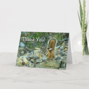 Chipmunk in Glacier National Park サンキューカード