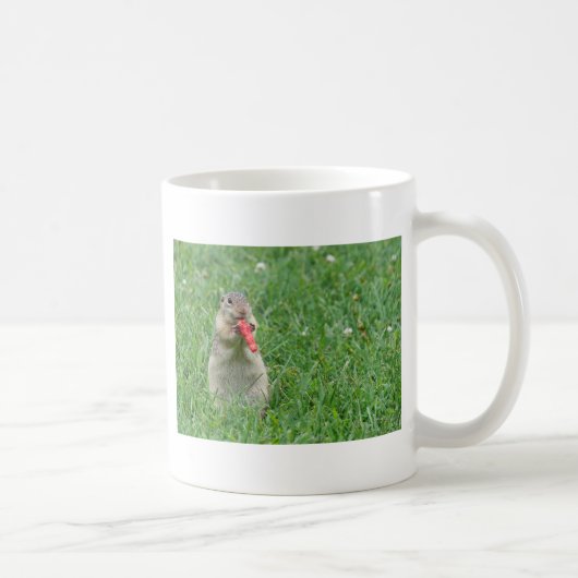 Chipmunk.JPG コーヒーマグカップ (右)