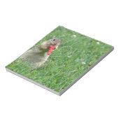 Chipmunk.JPG ノートパッド (回転)