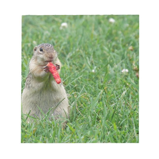 Chipmunk.JPG ノートパッド (正面)