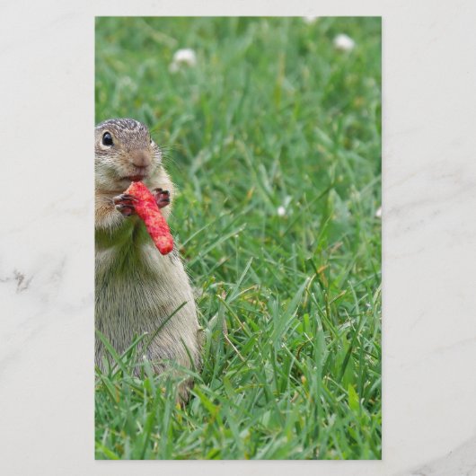 Chipmunk.JPG 便箋 (正面)