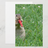 Chipmunk.JPG 便箋 (正面/裏面)