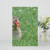 Chipmunk.JPG 便箋 (スタンド正面)