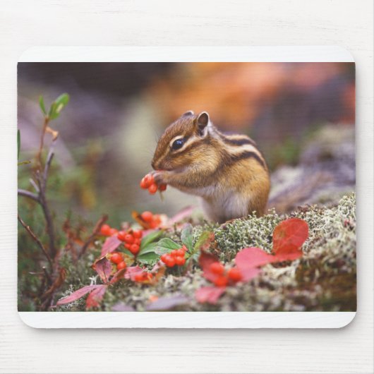Chipmunk Life Style trending product マウスパッド (正面)