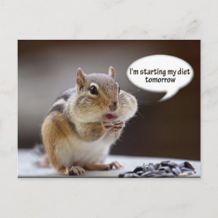 Chipmunk on aダイエット写真 ポストカード