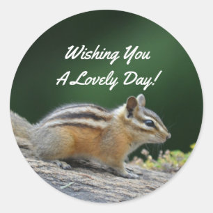Chipmunk On Log ラウンドシール