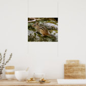 Chipmunk on Patrol ポスター (キッチン)