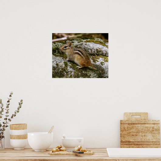 Chipmunk on Patrol ポスター (キッチン)