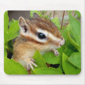 Chipmunk photo (20-1) マウスパッド (正面)