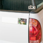 Chipmunk photo (20-4) バンパーステッカー (トラック上)