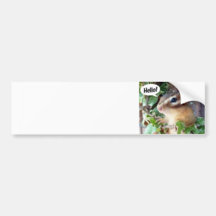Chipmunk photo (20-4) バンパーステッカー