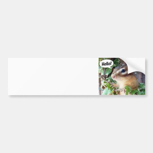 Chipmunk photo (20-4) バンパーステッカー (正面)