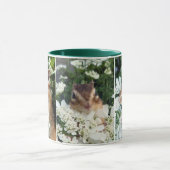 Chipmunk photo　(30-19) マグカップ (中央)