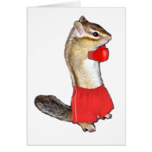 Chipmunk (photo) type-5