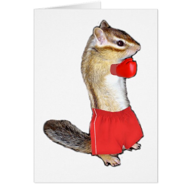 Chipmunk (photo) type-5 (正面)