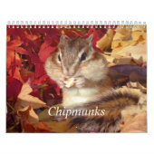 chipmunk,Squirrel,photo,calendar カレンダー (カバー)