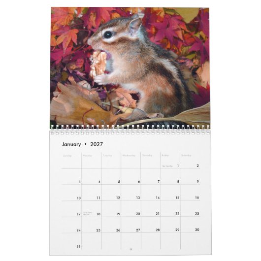 chipmunk,Squirrel,photo,calendar カレンダー (1月 2027)
