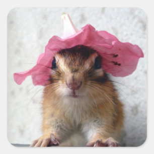 Chipmunk wears flower hat スクエアシール
