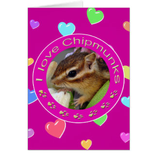 chipmunks
