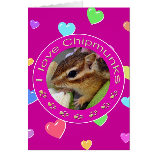 chipmunks (正面)