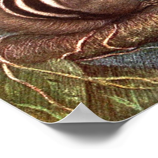 Chipmunks by Louis Sargent, Wild Animals ポスター (角)