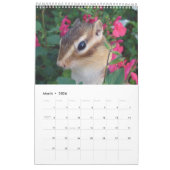 chipmunk's calendar  (All countries) カレンダー (3月 2026)