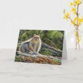 "Chippy"空白のなメッセージカード カード (黄色い花)