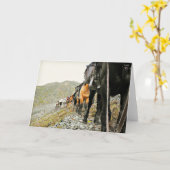 Chisanaの美しい カード (黄色い花)