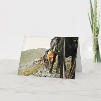 Chisanaの美しい カード