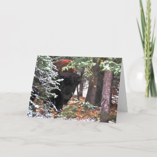 Chisanaの美しい カード (正面)